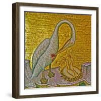 Mother Pelican Feeding Her Young with Her Own Blood, Kykkos Monastery, Troodos Mountains, Cyprus-null-Framed Giclee Print