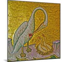 Mother Pelican Feeding Her Young with Her Own Blood, Kykkos Monastery, Troodos Mountains, Cyprus-null-Mounted Giclee Print