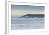 Mother Polar Bear (Ursus Maritimus) with Cup of Year on Ice in Hinlopen Strait-Michael Nolan-Framed Photographic Print