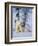 Mother Polar Bear with Three Cubs on the Tundra, Wapusk National Park, Manitoba, Canada-Keren Su-Framed Photographic Print