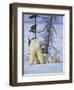 Mother Polar Bear with Three Cubs on the Tundra, Wapusk National Park, Manitoba, Canada-Keren Su-Framed Photographic Print