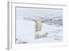 Mother Polar Bear-Gabrielle and Michel Therin-Weise-Framed Photographic Print