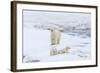 Mother Polar Bear-Gabrielle and Michel Therin-Weise-Framed Photographic Print