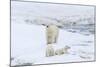 Mother Polar Bear-Gabrielle and Michel Therin-Weise-Mounted Photographic Print