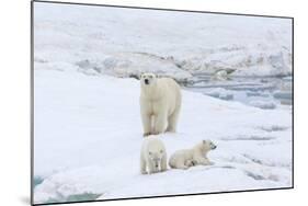 Mother Polar Bear-Gabrielle and Michel Therin-Weise-Mounted Photographic Print