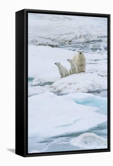 Mother Polar Bear-Gabrielle and Michel Therin-Weise-Framed Stretched Canvas