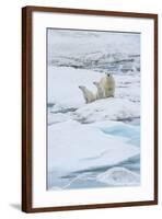 Mother Polar Bear-Gabrielle and Michel Therin-Weise-Framed Photographic Print