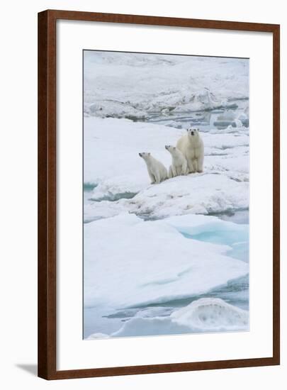 Mother Polar Bear-Gabrielle and Michel Therin-Weise-Framed Photographic Print