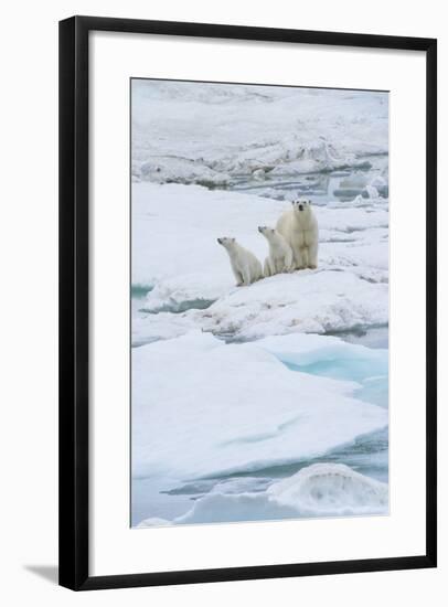 Mother Polar Bear-Gabrielle and Michel Therin-Weise-Framed Photographic Print