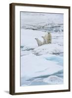 Mother Polar Bear-Gabrielle and Michel Therin-Weise-Framed Photographic Print