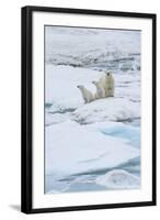 Mother Polar Bear-Gabrielle and Michel Therin-Weise-Framed Photographic Print