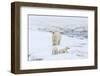 Mother Polar Bear-Gabrielle and Michel Therin-Weise-Framed Photographic Print