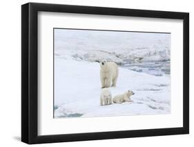 Mother Polar Bear-Gabrielle and Michel Therin-Weise-Framed Photographic Print