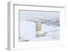 Mother Polar Bear-Gabrielle and Michel Therin-Weise-Framed Photographic Print