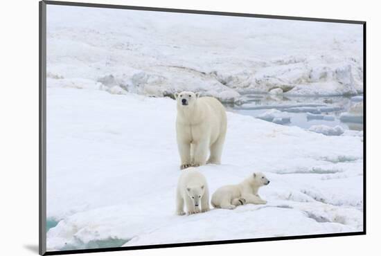 Mother Polar Bear-Gabrielle and Michel Therin-Weise-Mounted Photographic Print