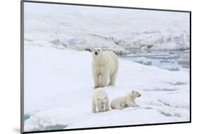 Mother Polar Bear-Gabrielle and Michel Therin-Weise-Mounted Photographic Print