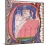 Mother receiving her newly born baby in bed, from Liber introductorium ad iudicia stellarum-Italian-Mounted Giclee Print