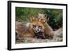 Mother Red Fox and Pups-W. Perry Conway-Framed Photographic Print