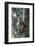 Mother Rhesus Macaque and Baby Wulingyuan District, China-Darrell Gulin-Framed Photographic Print