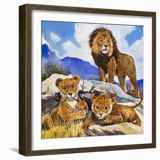 Mother's Gone A-Hunting, from 'Focus on Baby Animals'-G. W Backhouse-Framed Giclee Print