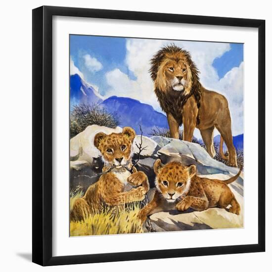 Mother's Gone A-Hunting, from 'Focus on Baby Animals'-G. W Backhouse-Framed Giclee Print