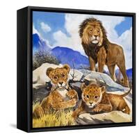 Mother's Gone A-Hunting, from 'Focus on Baby Animals'-G. W Backhouse-Framed Stretched Canvas