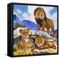 Mother's Gone A-Hunting, from 'Focus on Baby Animals'-G. W Backhouse-Framed Stretched Canvas