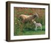 Mother Sheep and Baby-null-Framed Art Print