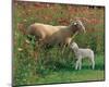 Mother Sheep and Baby-null-Mounted Art Print