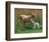 Mother Sheep and Baby-null-Framed Art Print