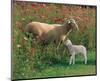 Mother Sheep and Baby-null-Mounted Art Print