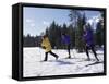 Mother Skiing with Her Son and Daughter-null-Framed Stretched Canvas