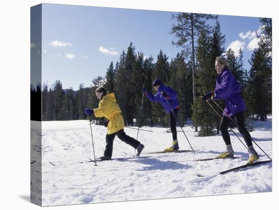 Mother Skiing with Her Son and Daughter-null-Stretched Canvas
