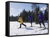 Mother Skiing with Her Son and Daughter-null-Framed Stretched Canvas