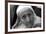 Mother Teresa-null-Framed Photographic Print