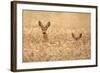 Mother with child-Allan Wallberg-Framed Photographic Print