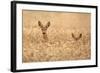 Mother with child-Allan Wallberg-Framed Photographic Print