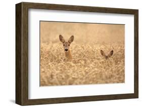 Mother with child-Allan Wallberg-Framed Photographic Print