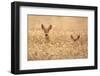 Mother with child-Allan Wallberg-Framed Photographic Print