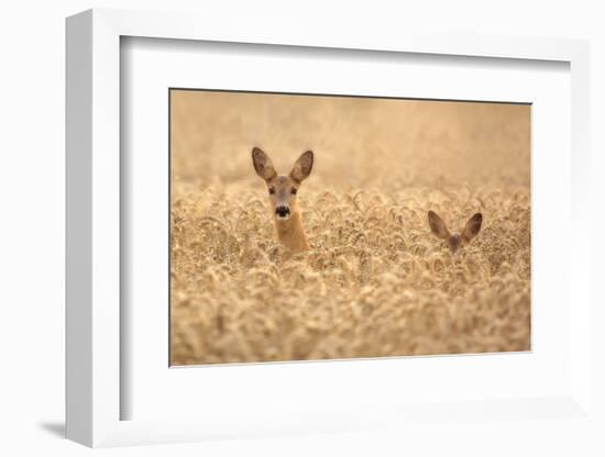 Mother with child-Allan Wallberg-Framed Photographic Print