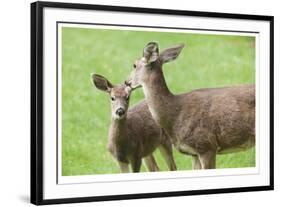 Mother With Fawn-Donald Paulson-Framed Giclee Print