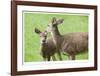 Mother With Fawn-Donald Paulson-Framed Giclee Print