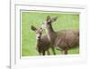 Mother With Fawn-Donald Paulson-Framed Giclee Print