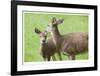 Mother With Fawn-Donald Paulson-Framed Giclee Print