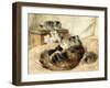 Mothercare, 1898-Henriette Ronner-Knip-Framed Giclee Print