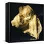 Motherhood, the Golden Age-Medardo Rosso-Framed Stretched Canvas