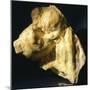 Motherhood, the Golden Age-Medardo Rosso-Mounted Giclee Print