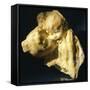 Motherhood, the Golden Age-Medardo Rosso-Framed Stretched Canvas