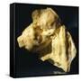 Motherhood, the Golden Age-Medardo Rosso-Framed Stretched Canvas