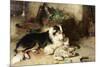 Motherless: the Shepherd's Pet, 1897-Walter Hunt-Mounted Giclee Print